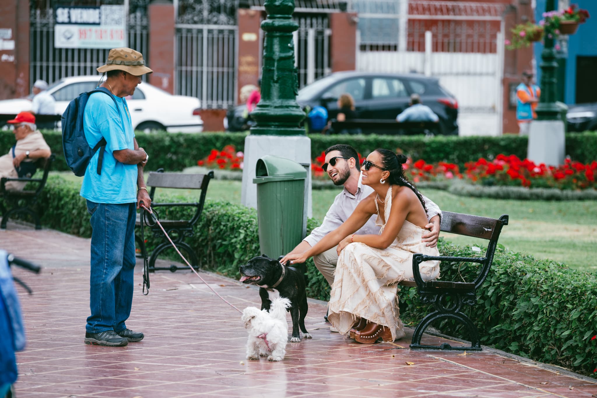 Carla y Tony saludando perros en un parque de Barranco.